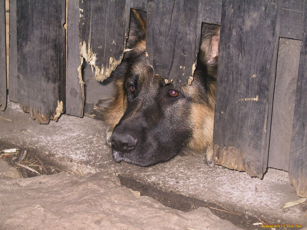 , 